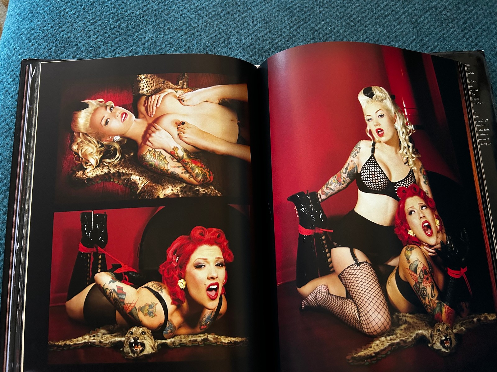 Viva’s Pinups : Bullet Bras and Backseat Betties by Tyson McAdoo and Korero