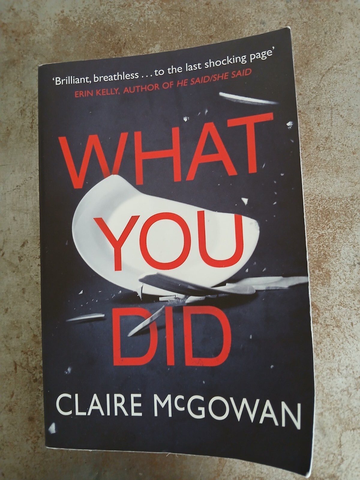 What You Did By Claire McGowan Paperback 269 Pages