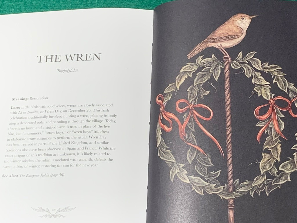 Ornithography by Jessica Roux 1st/1st HC 2024 Birds