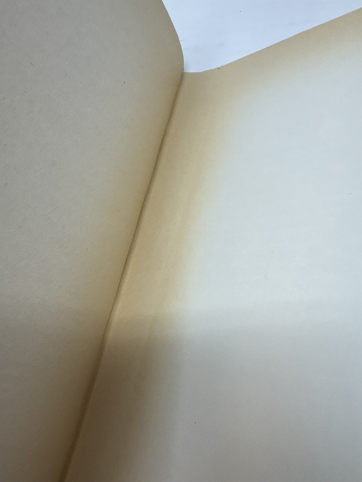 Slouching Towards Bethlehem, Joan Didion. 1979 Trade Paperback Edition.