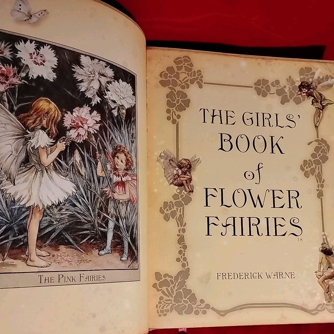 The Girls‘ Book of Flower Fairies by Frederick Warne, 2008 New