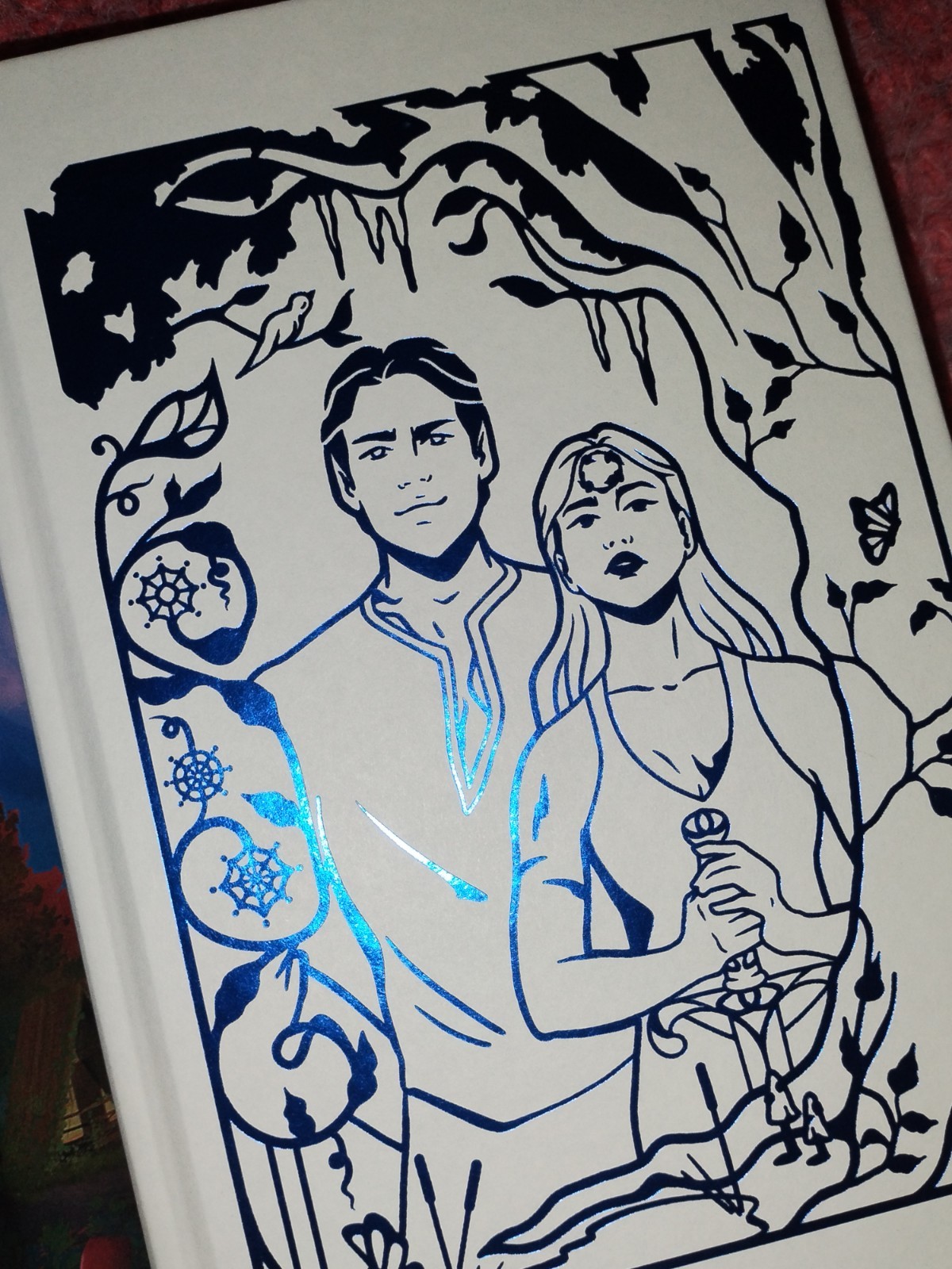 Omen of Ice by Jus Accardo Owlcrate Exclusive Signed First Edition novel, New