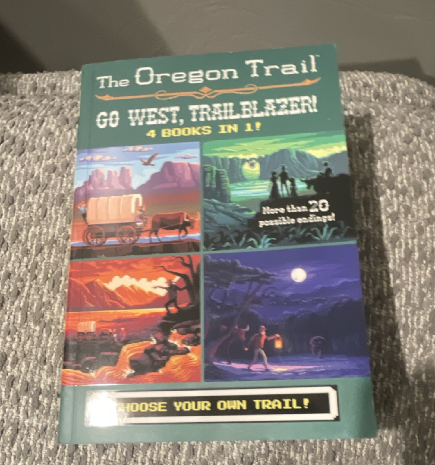 The Oregon Trail Ser.: Go West, Trailblazer! by Wiley, Paperback