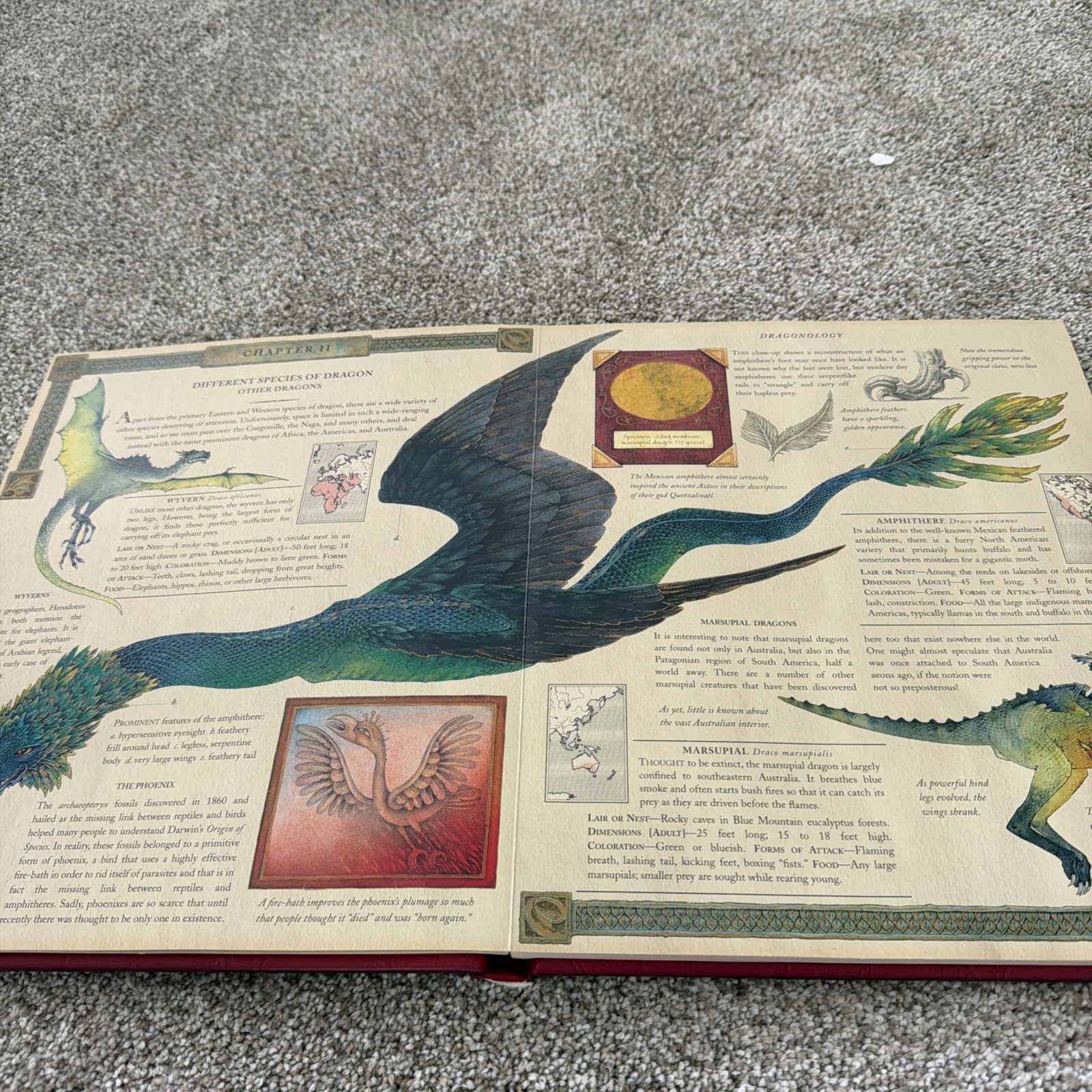 Ologies Ser.: Dragonology : The Complete Book of Dragons by Ernest Drake (2003,