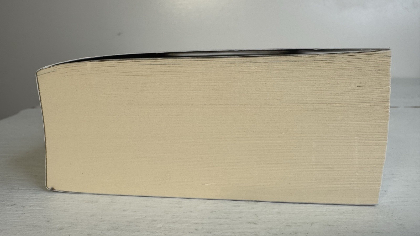 When the Moon Hatched – Sarah A. Parker (2024 Trade PB Book) 1st Printing – LN