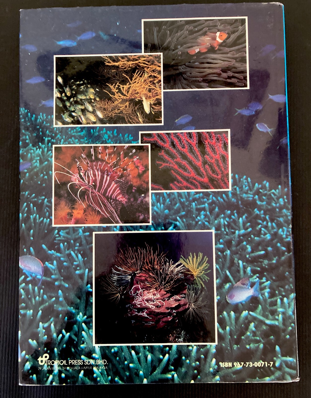 Coral Reefs of Malaysia Ho Soon Lin Hard Cover Dust Jacket 1992
