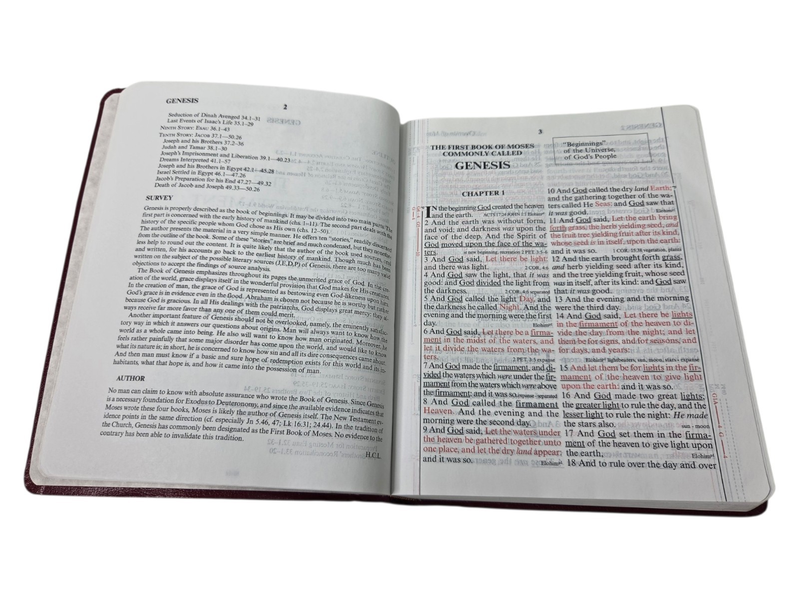 God’s Holy Bible KJV Special Margin Edition LARGE PRINT 1999 Burgundy Red Letter