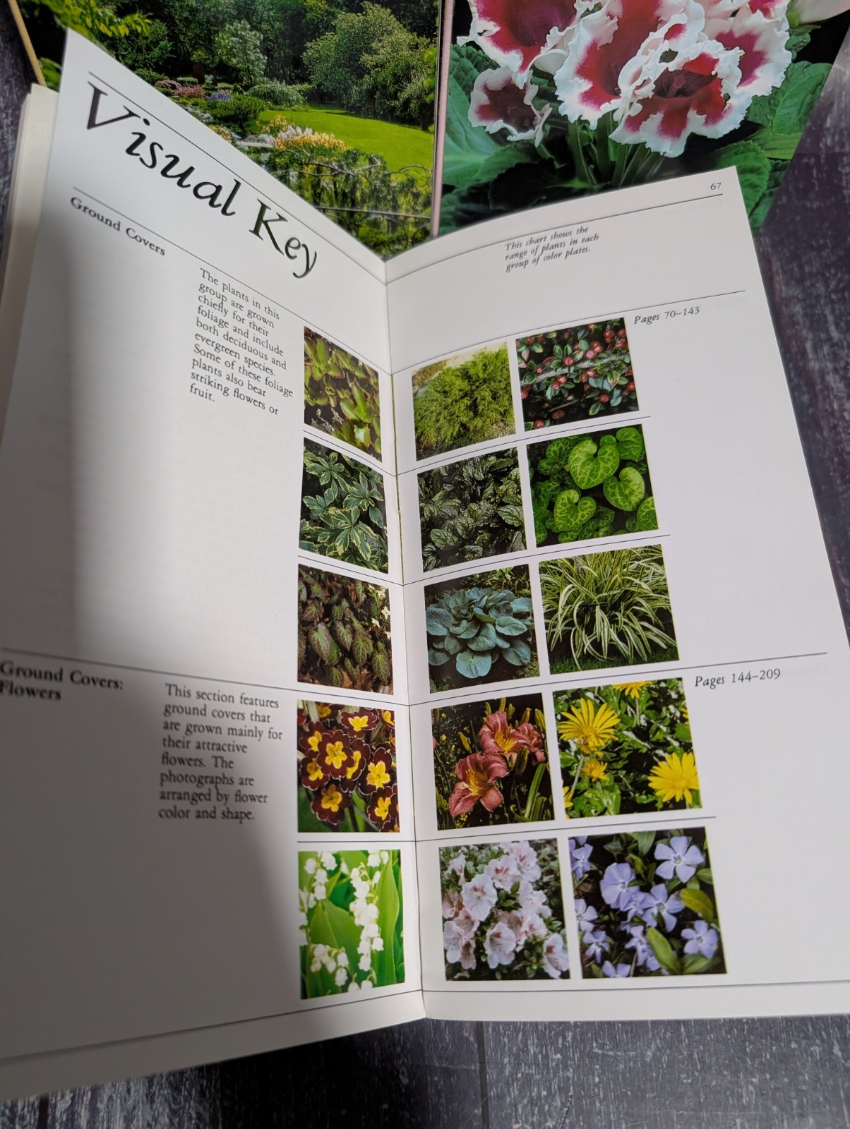 Taylor’s Guide To Book Lot: Garden Design, Ground Covers, Houseplants