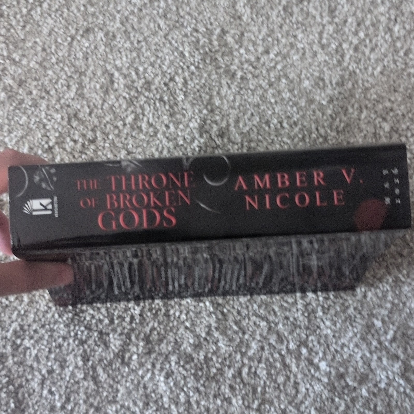 Throne of Broken Gods by Amber V. Nicole ARC