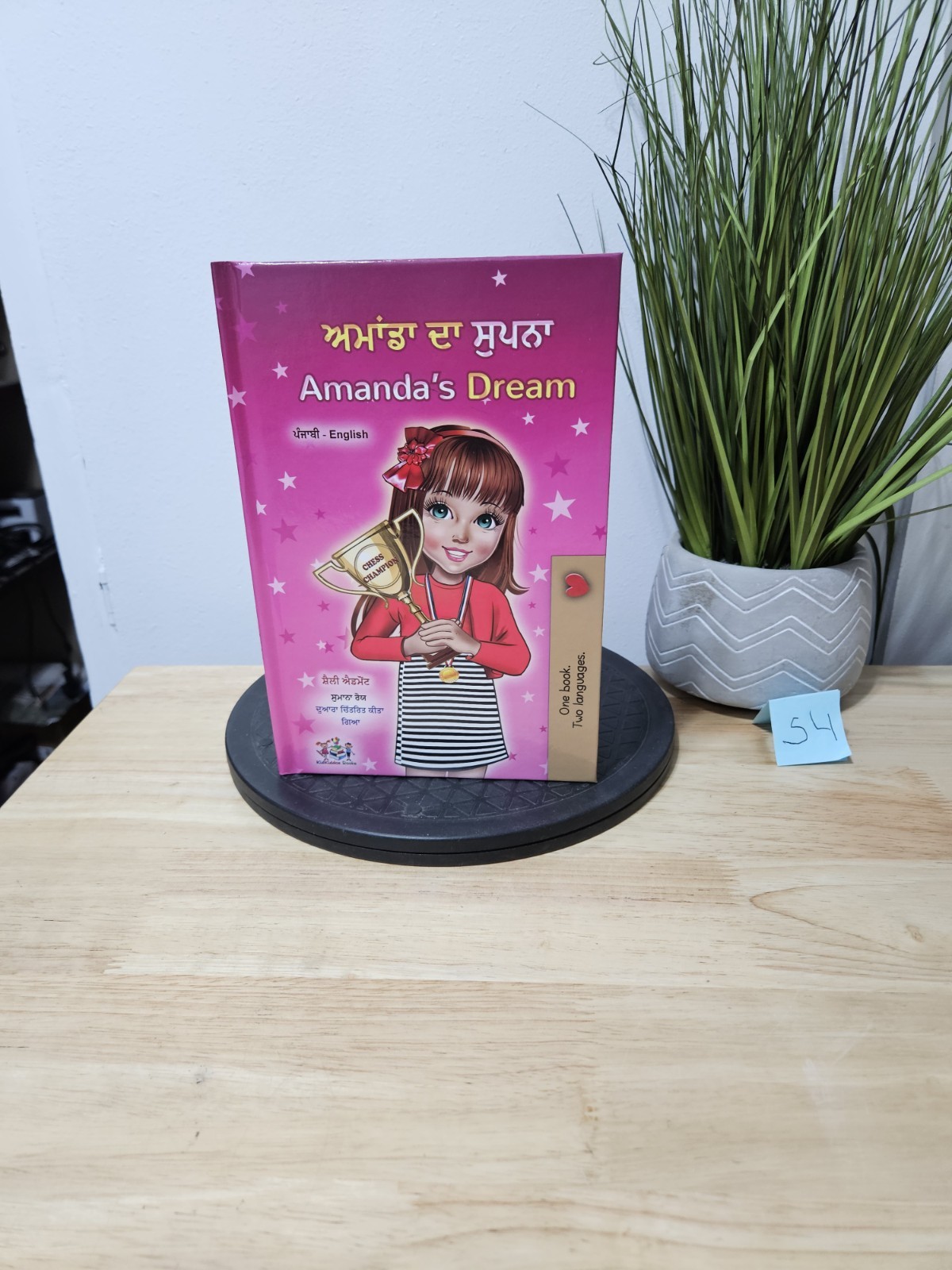 Amanda’s Dream (Punjabi English Bilingual Kids‘ Book – Gurmukhi) Hardcover