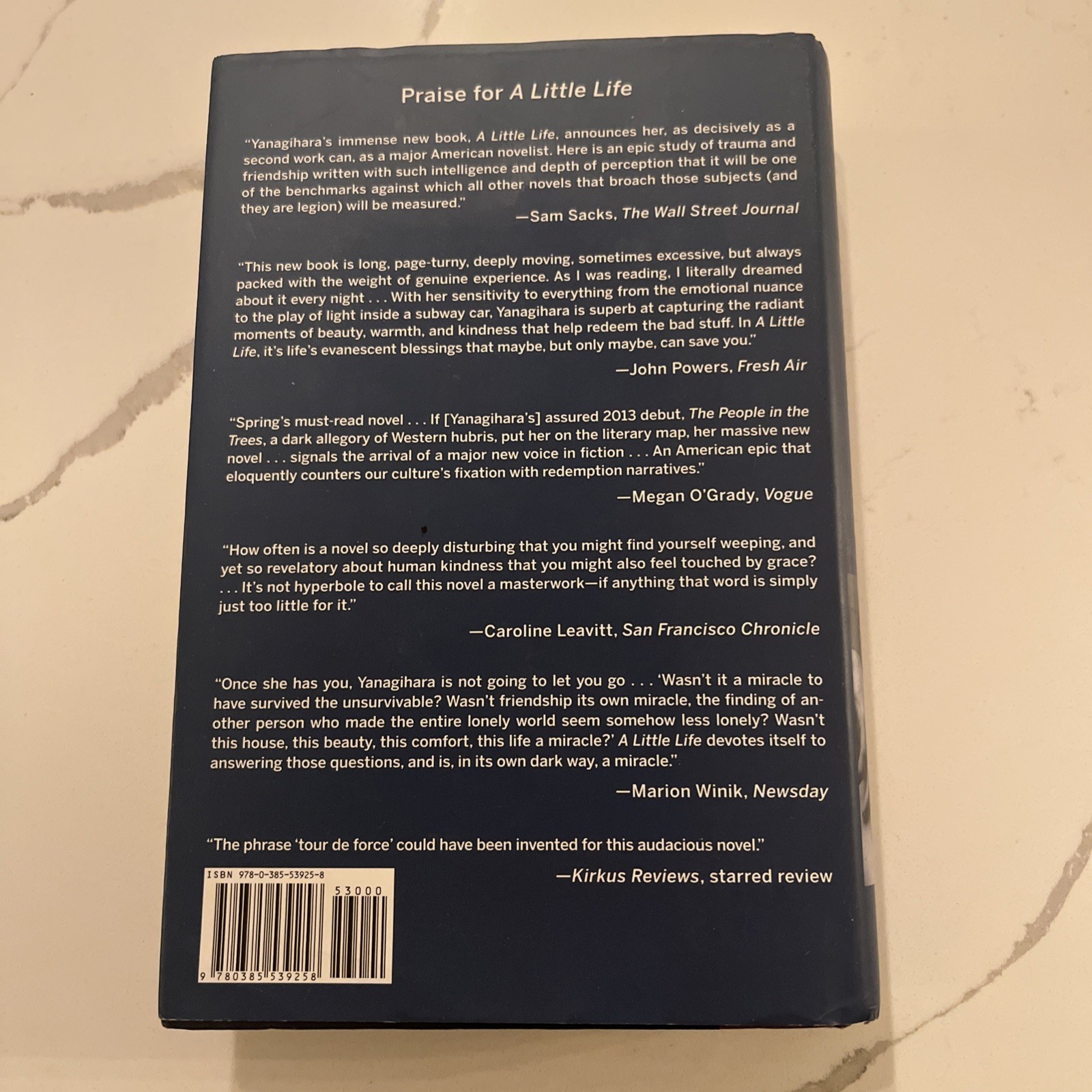 A Little Life by Hanya Yanagihara (2015, Hardcover) First Edition