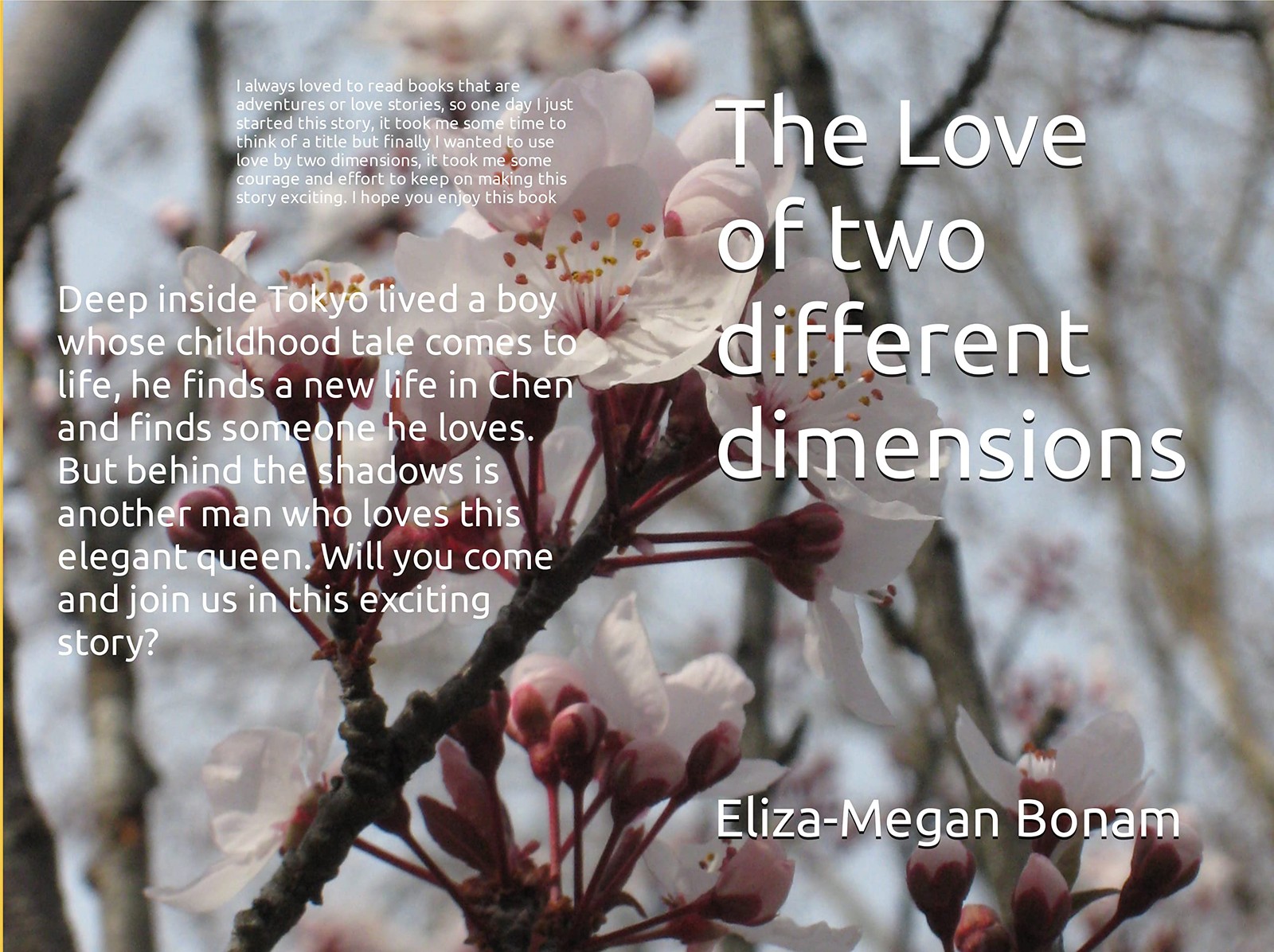 Eliza-Megan Bonam The Love of two different dimensions (Paperback)