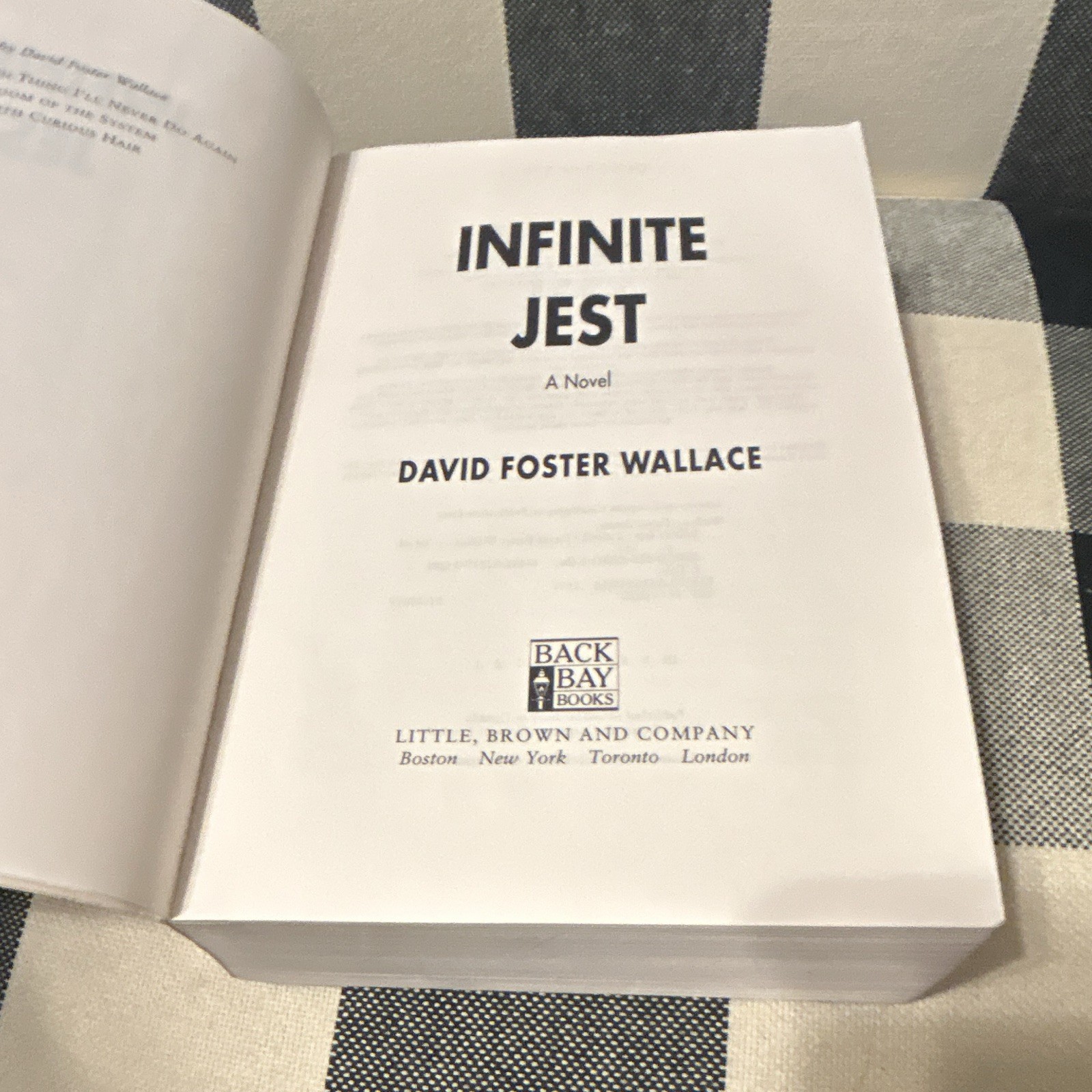 David Foster Wallace Infinite Jest First Paperback Edition First Printing