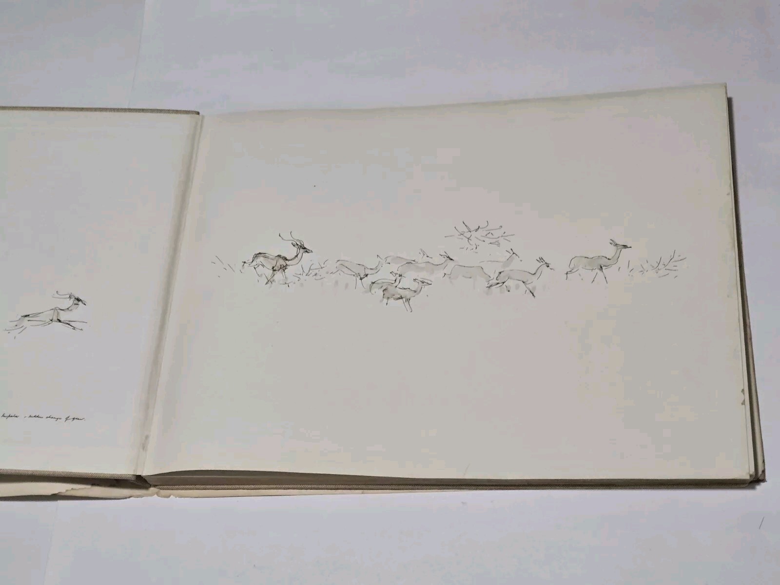 An Artist’s Safari By Ralph Thompson 1970 Hardcover DJ Artist Sketch Book