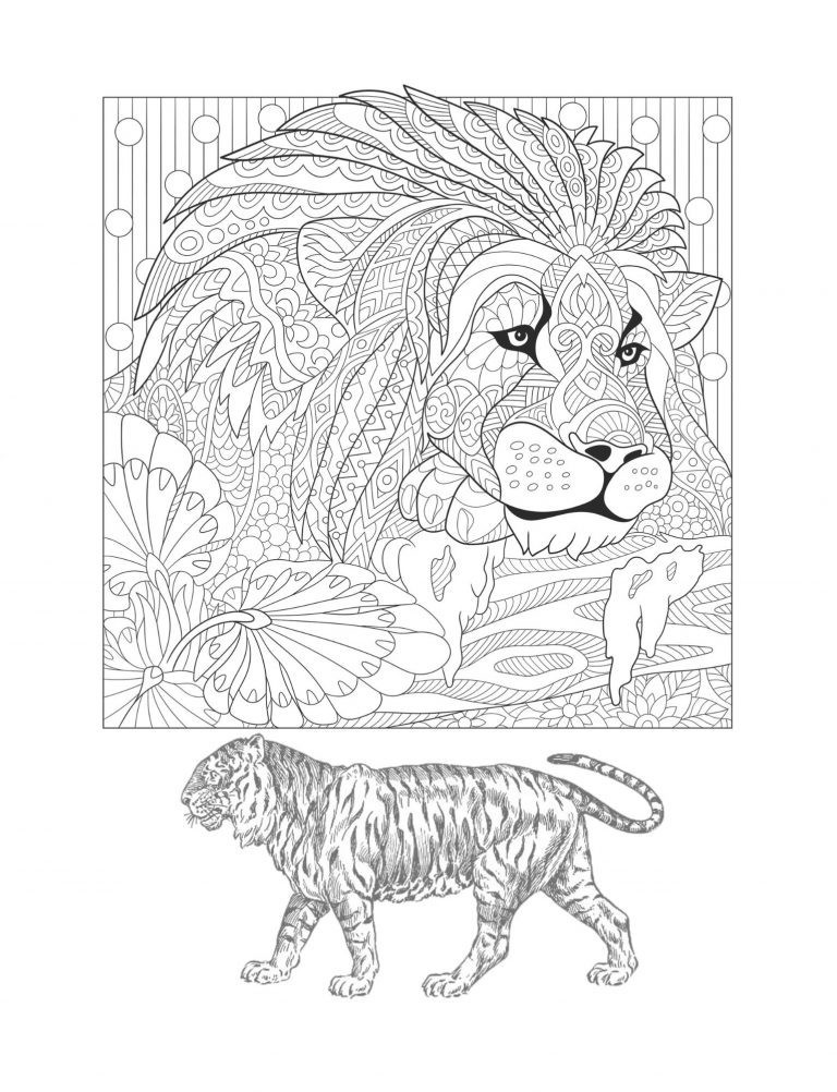 Best Big cats Coloring Book Save the Planet Series 108 Pages 8.5 x 11 All Ages