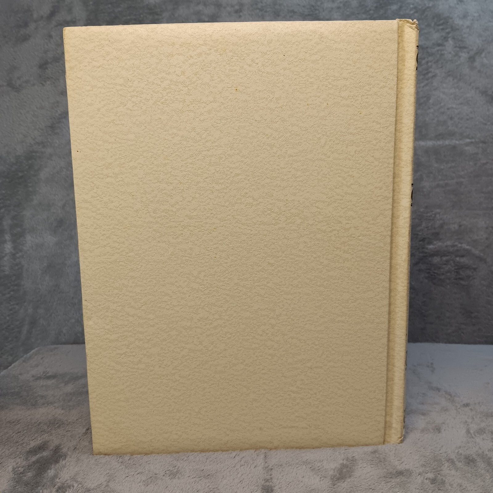 Holy Bible Fireside Family Edition NAB Catholic White Cover 1974-1975 1250+ Page