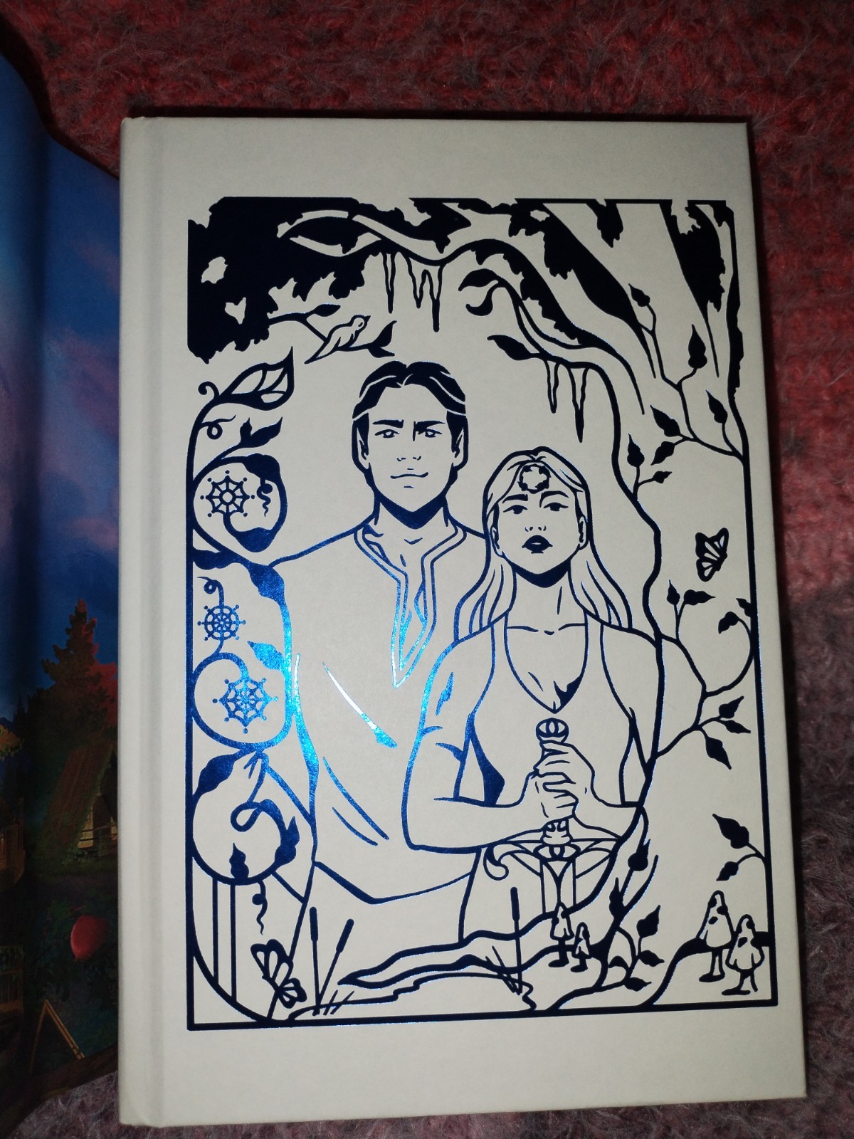 Omen of Ice by Jus Accardo Owlcrate Exclusive Signed First Edition novel, New
