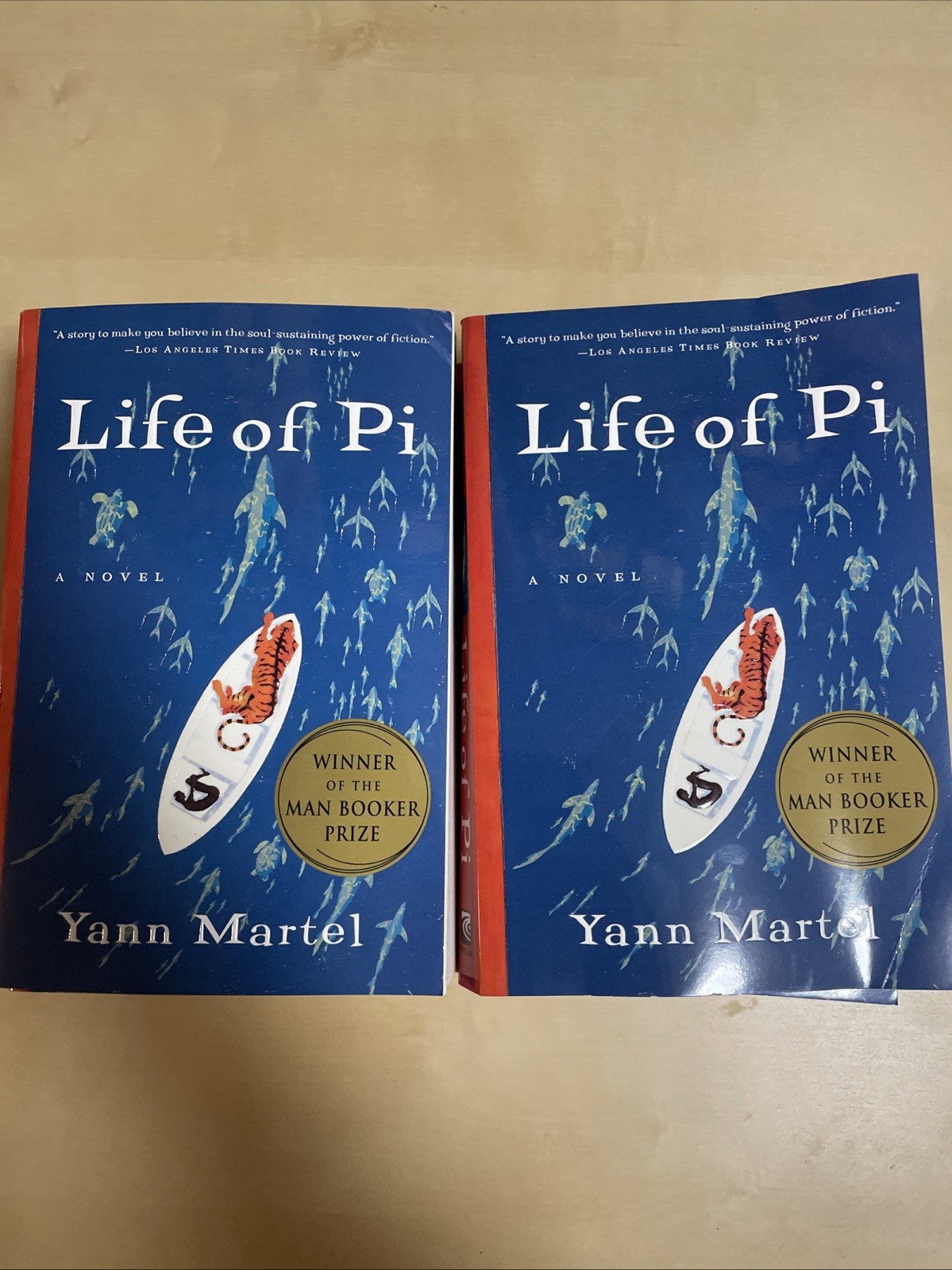Life of Pi by Yann Martel – Bulk Lot of 10 Books (Teacher / Classroom Set)