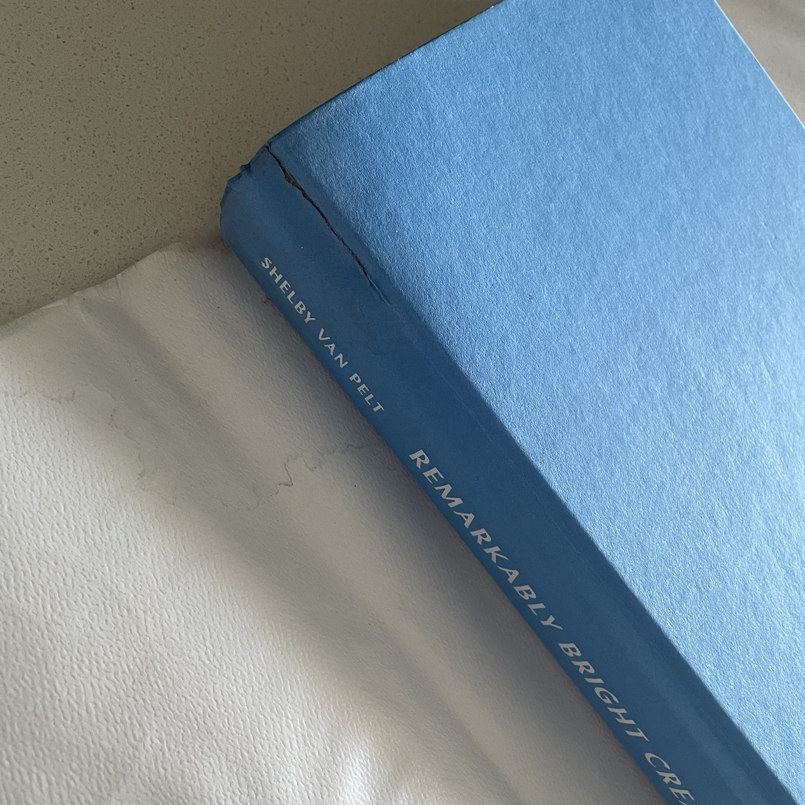 Remarkably Bright Creatures: A Novel By Shelby Van Pelt – Hardcover