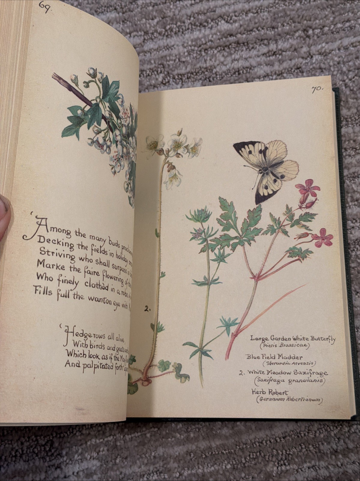 The Country Diary of an Edwardian Lady by Edith Holden – Hardcover Book 1977