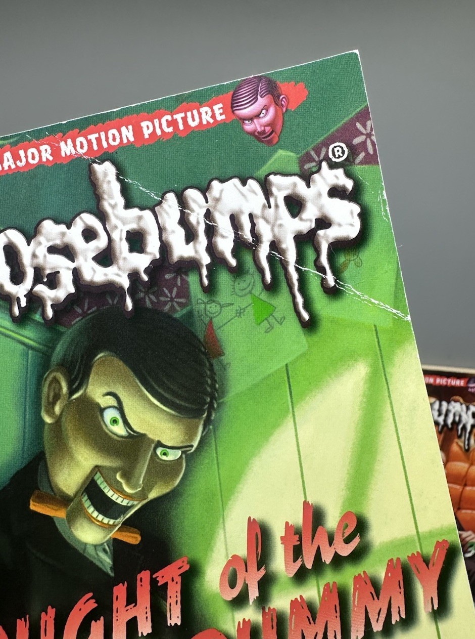 Mixed Lot of 19 Goosebumps Books Horrorland 1-10 Living Dummy 1-3 Etc RL Stine