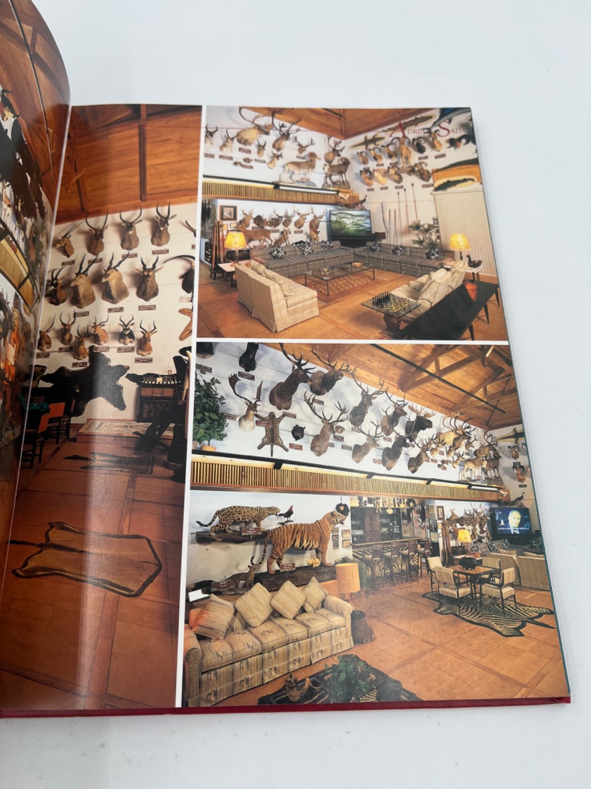 Great Hunters Ser.: Great Hunters : Their Trophy Rooms and Collections #1