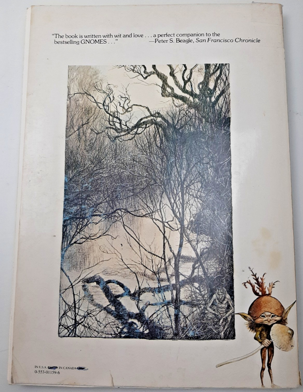 Vintage Faeries Book 1978 First Edition Printing Brian Froud Mythical Fairy Art