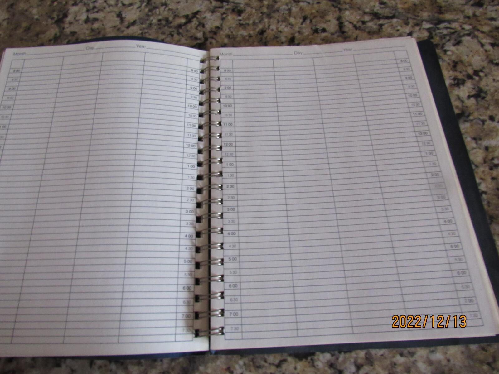 Note-a-Date Daily Group Professional Appointments Planner-Calendar- 125 2X-Pages