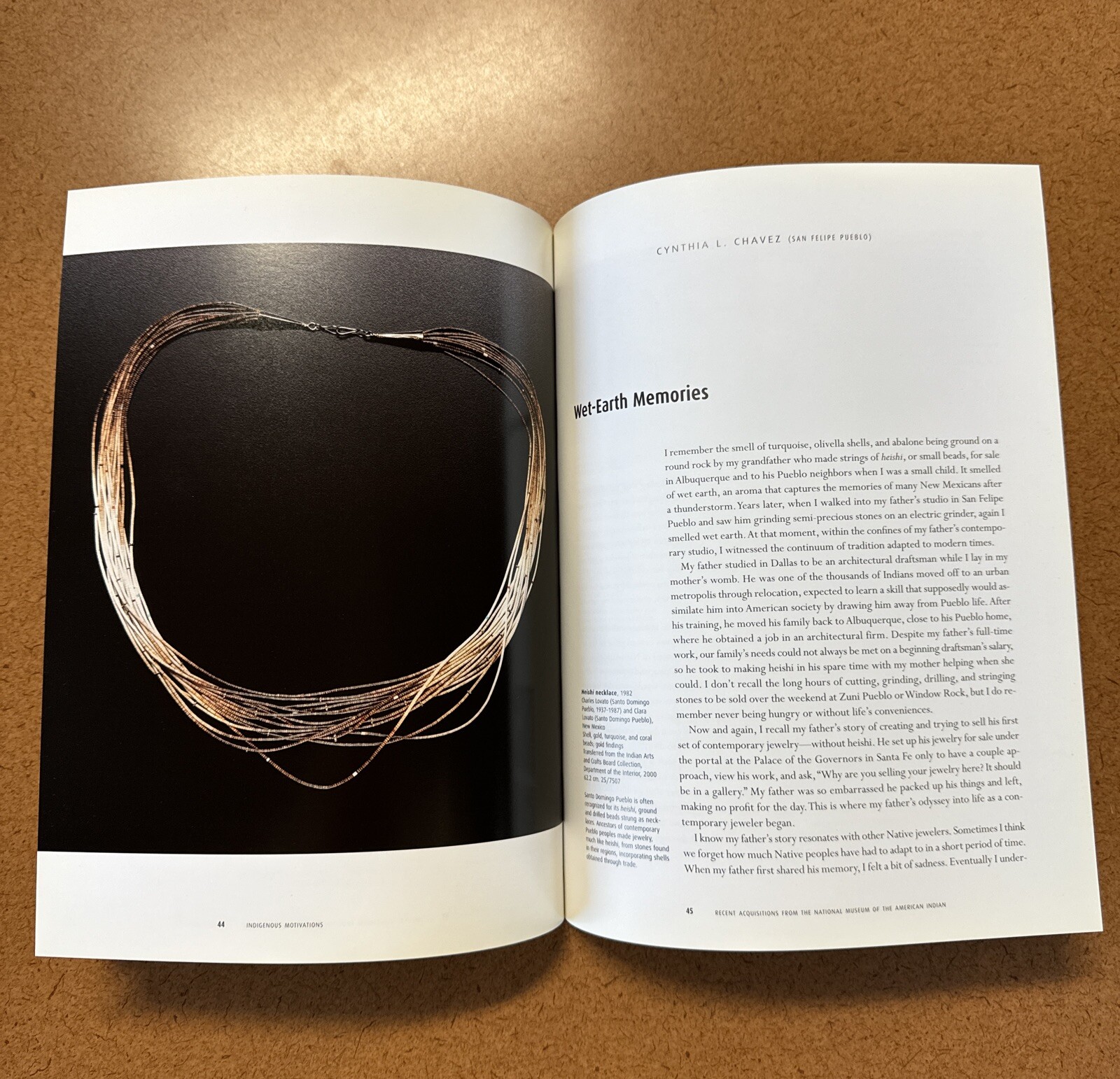 Indigenous Motivations Recent Acquisitions Museum American Indian Native Book