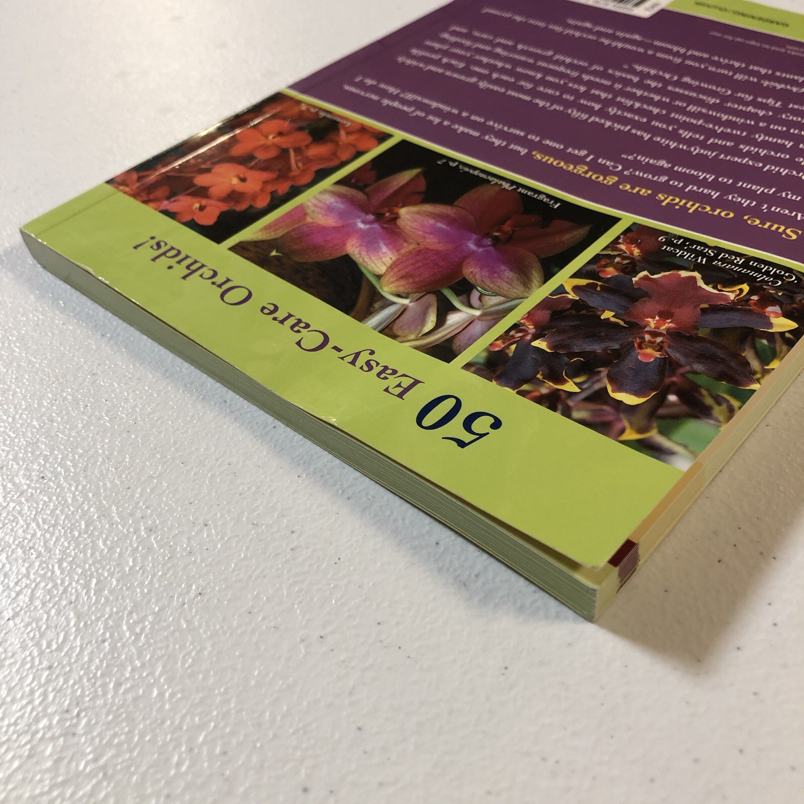 2017 BLOOM-AGAIN ORCHIDS by Judy White (Paperback)