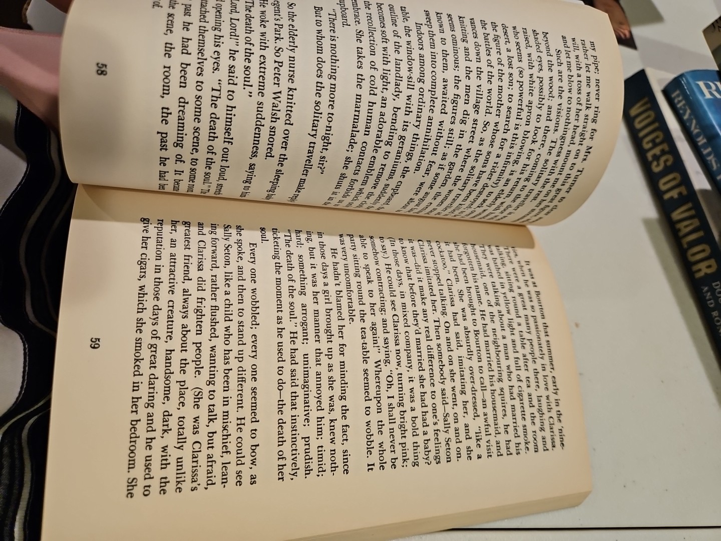Mrs. Dalloway Virginia Woolf Paperback Novel Book 20th C. Author