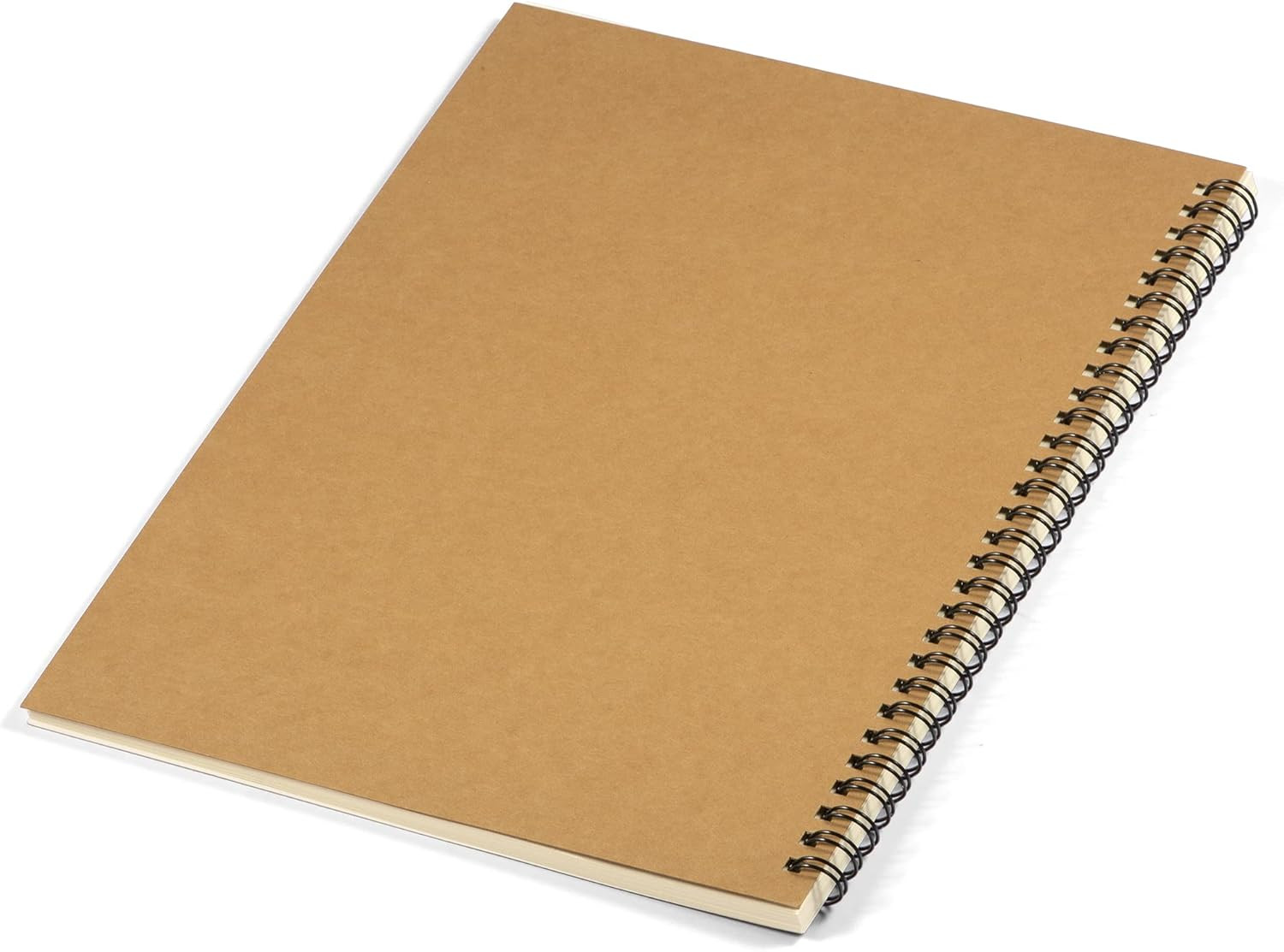 Coguzed 100 Pages Blank Sheet Music Notebook – 26X19cm Staff Paper for Musicians