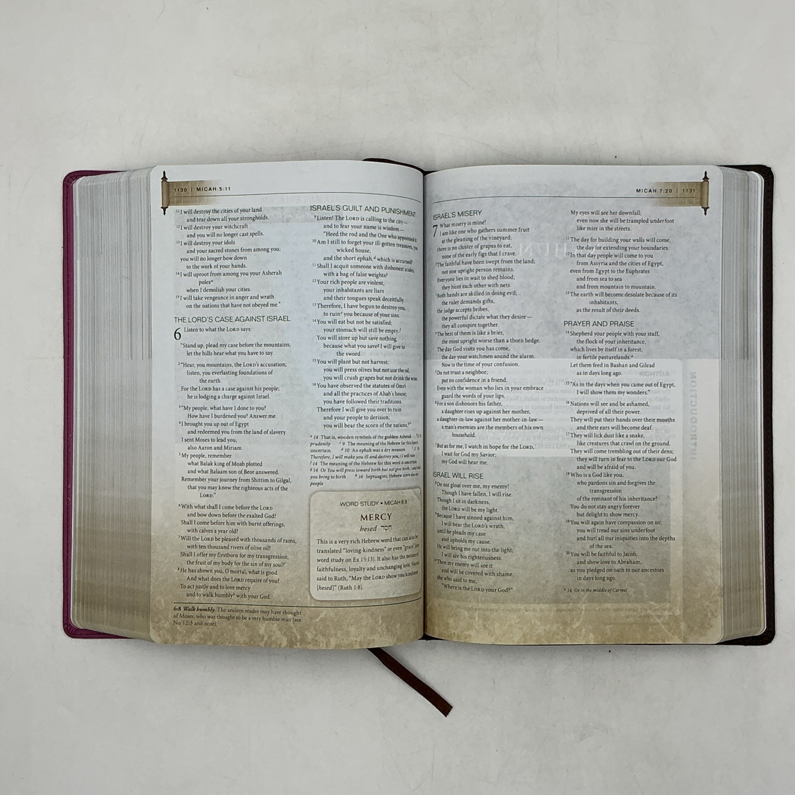 Zondervan NIV First Century Study Bible Dobson Italian Duo Tone Chocolate Orchid