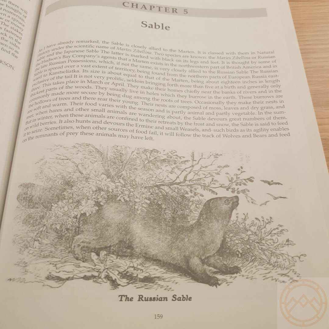 The Trappers Bible Book Most Complete Guide Hunting Tips Personal Stories Photos