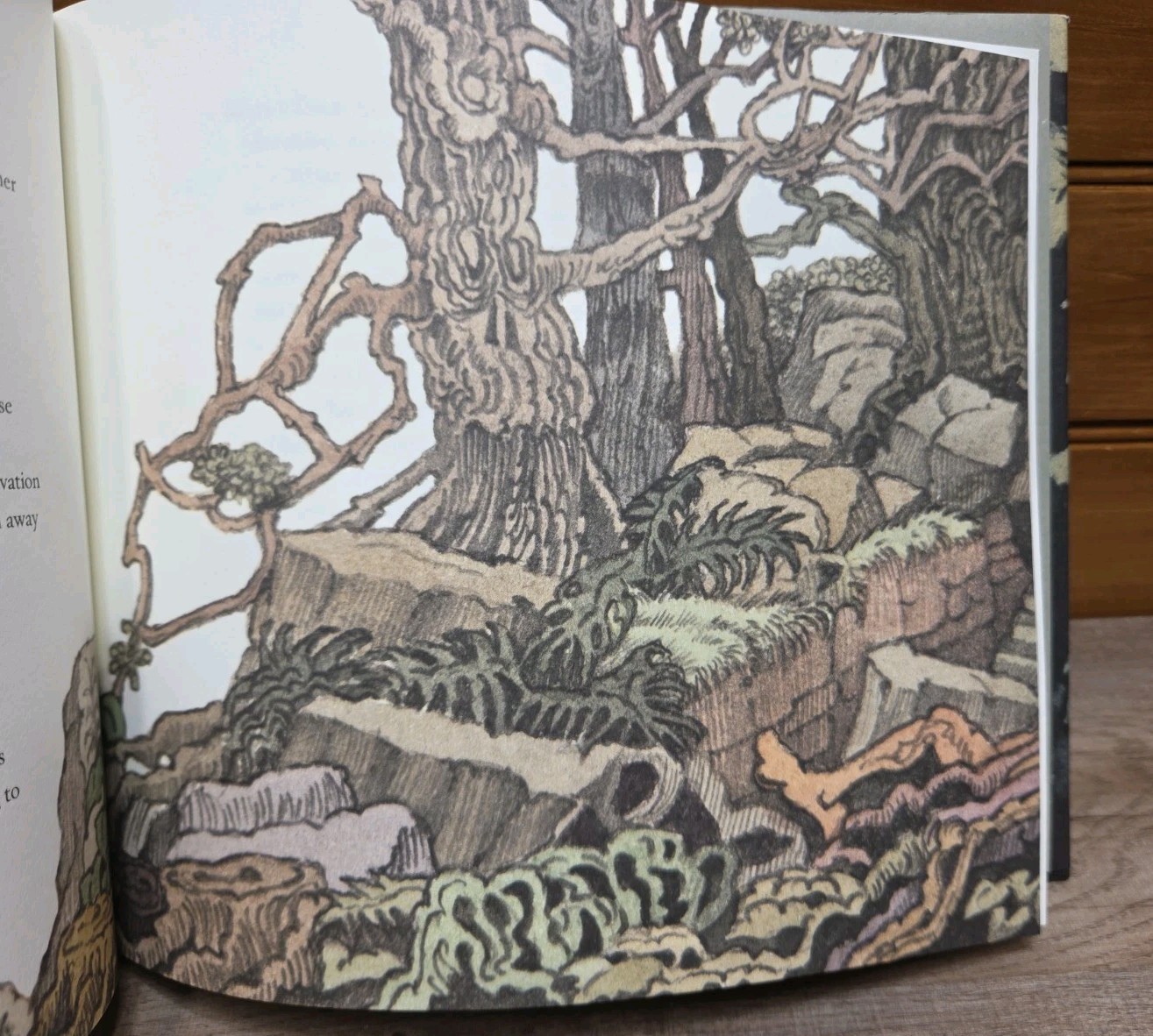 Hansel and Gretel Retold by Stephen King Pictures By Maurice Sendak HC DJ VG