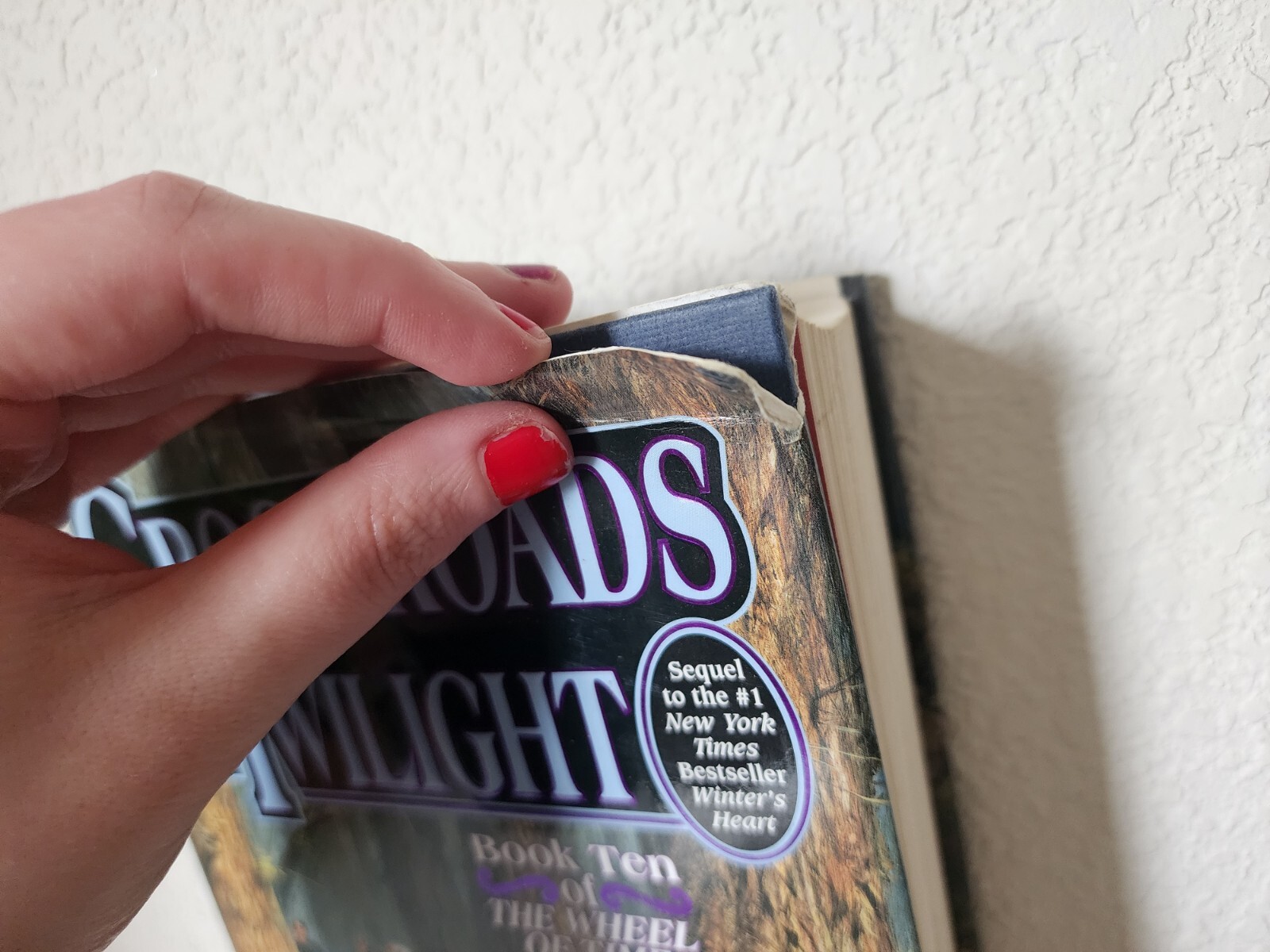 Wheel of Time Ser.: Crossroads of Twilight : Book Ten of ‚the Wheel of Time‘ by