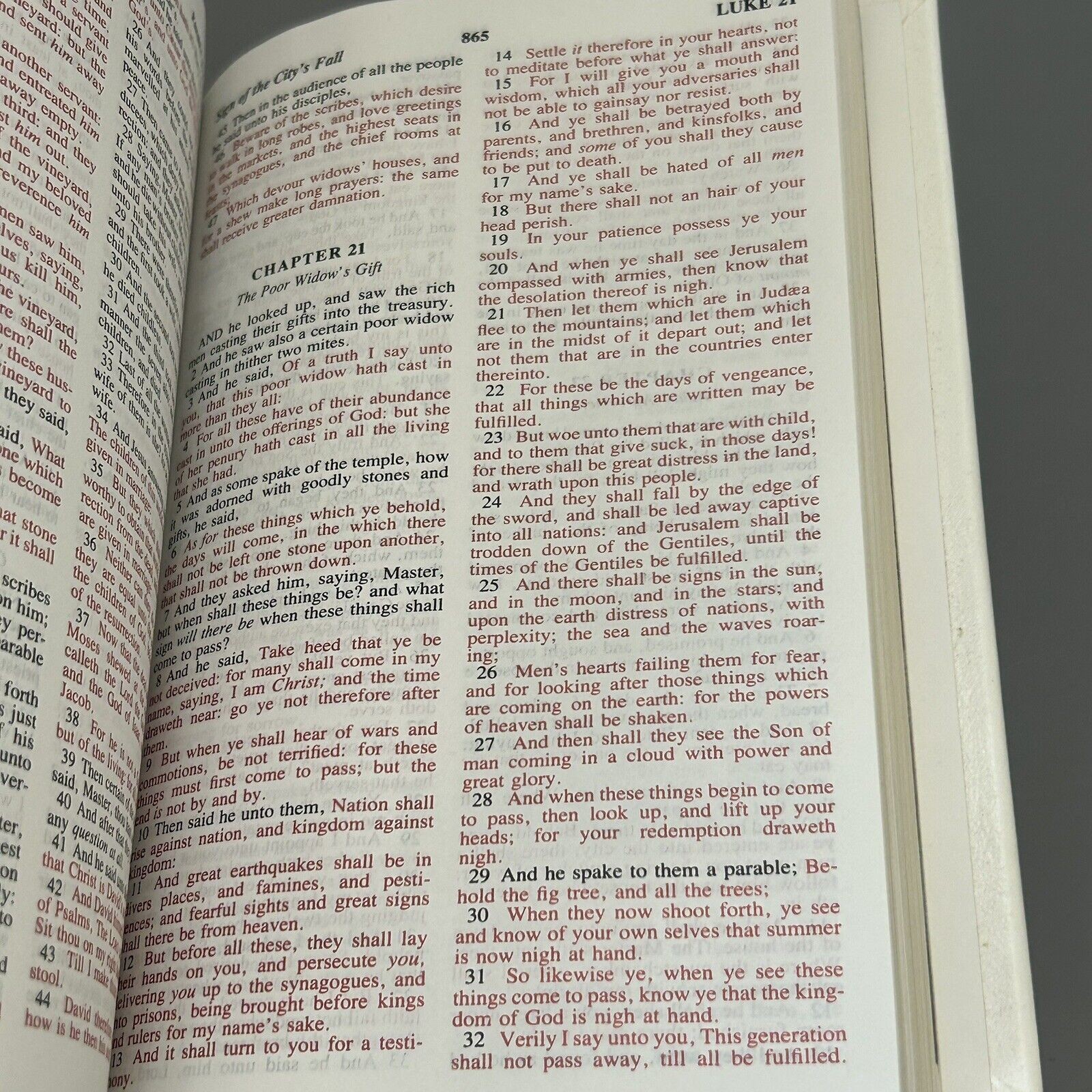 Holy Bible Dove Of Peace Edition KJV Illustrated White Hardcover Faux Leather