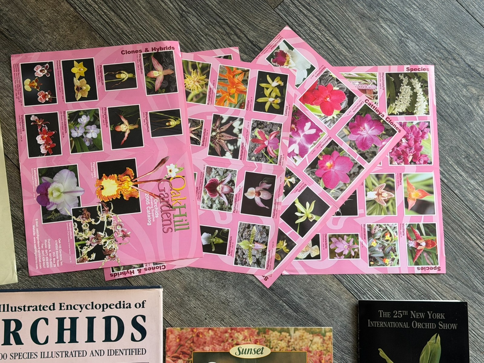 ORCHID Book 8pc Lot Field Guide Hardcover Softcover Gardening Flowers Floristry