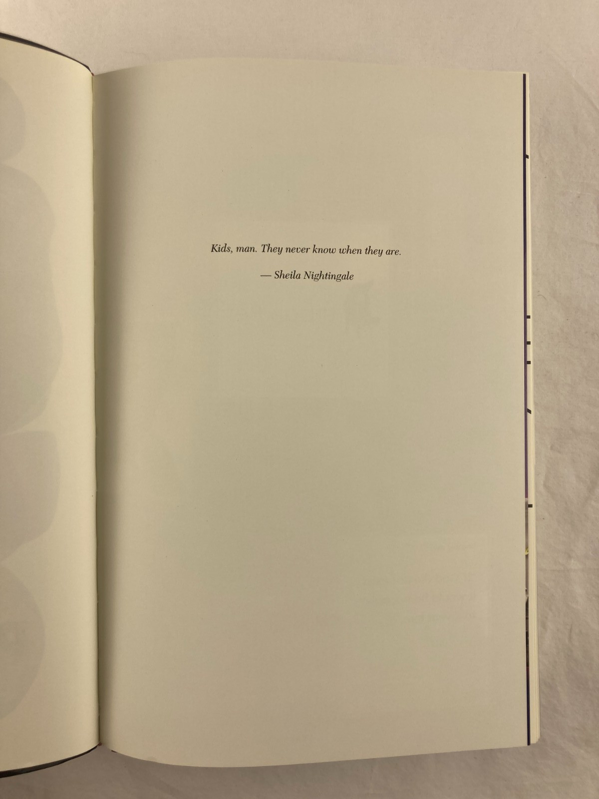 The Familiar Volume 1 One Rainy Day in May Mark Z. Danielewski 1st Ed. 1st Print