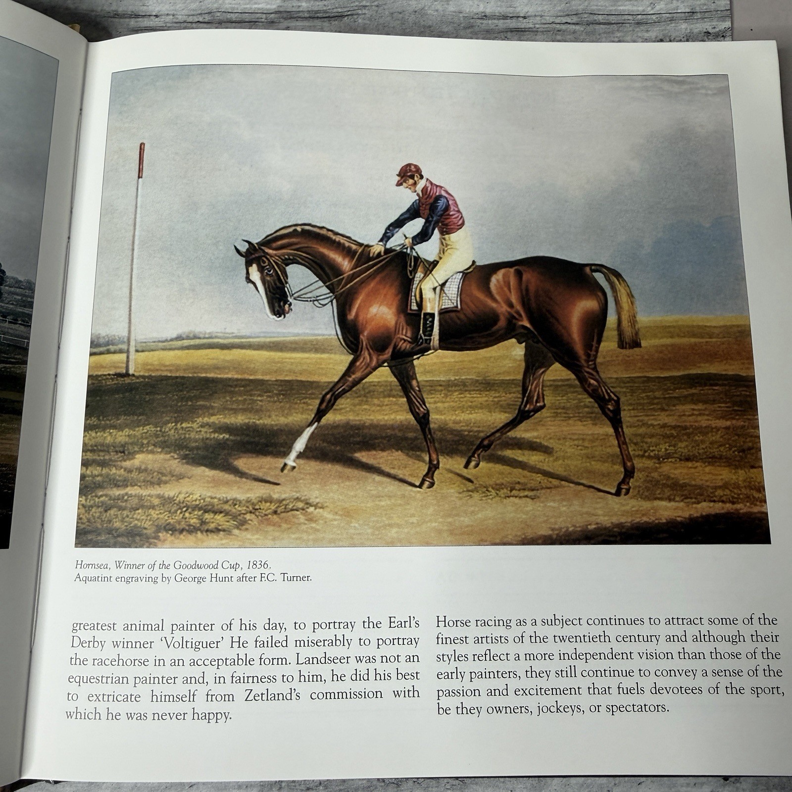 Horse Racing Address Book Equestrian Art Famous Thoroughbred Horses UK Hardback