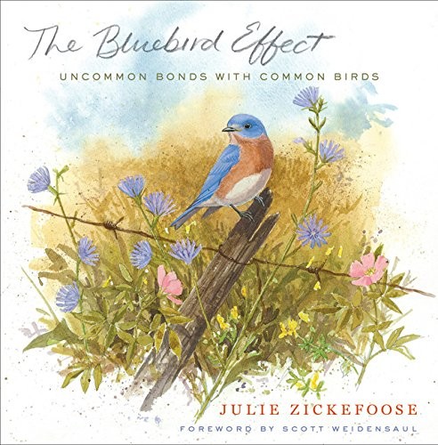 The Bluebird Effect: Uncommon Bonds with Common Birds by Zickefoose, Julie
