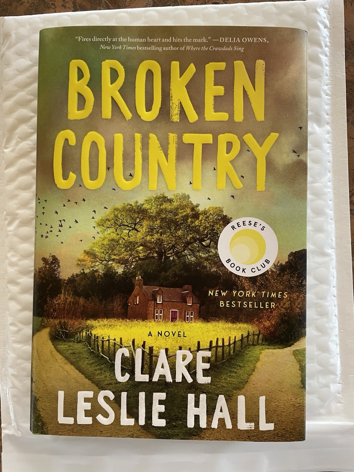 Broken Country by Clare Leslie Hall, Hardcover, Picador, Reese’s Book Club