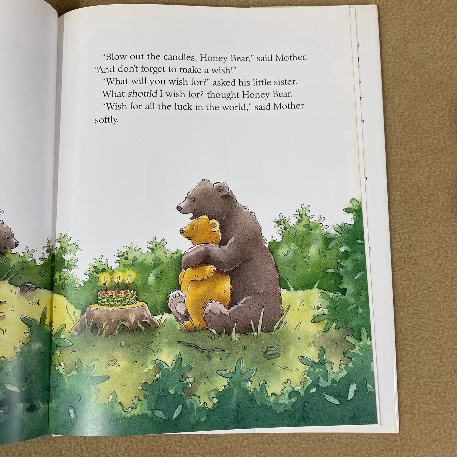 Marcus Pfister Make a Wish Honey Bear Book Kids Hardcover Birthday Gift EUC