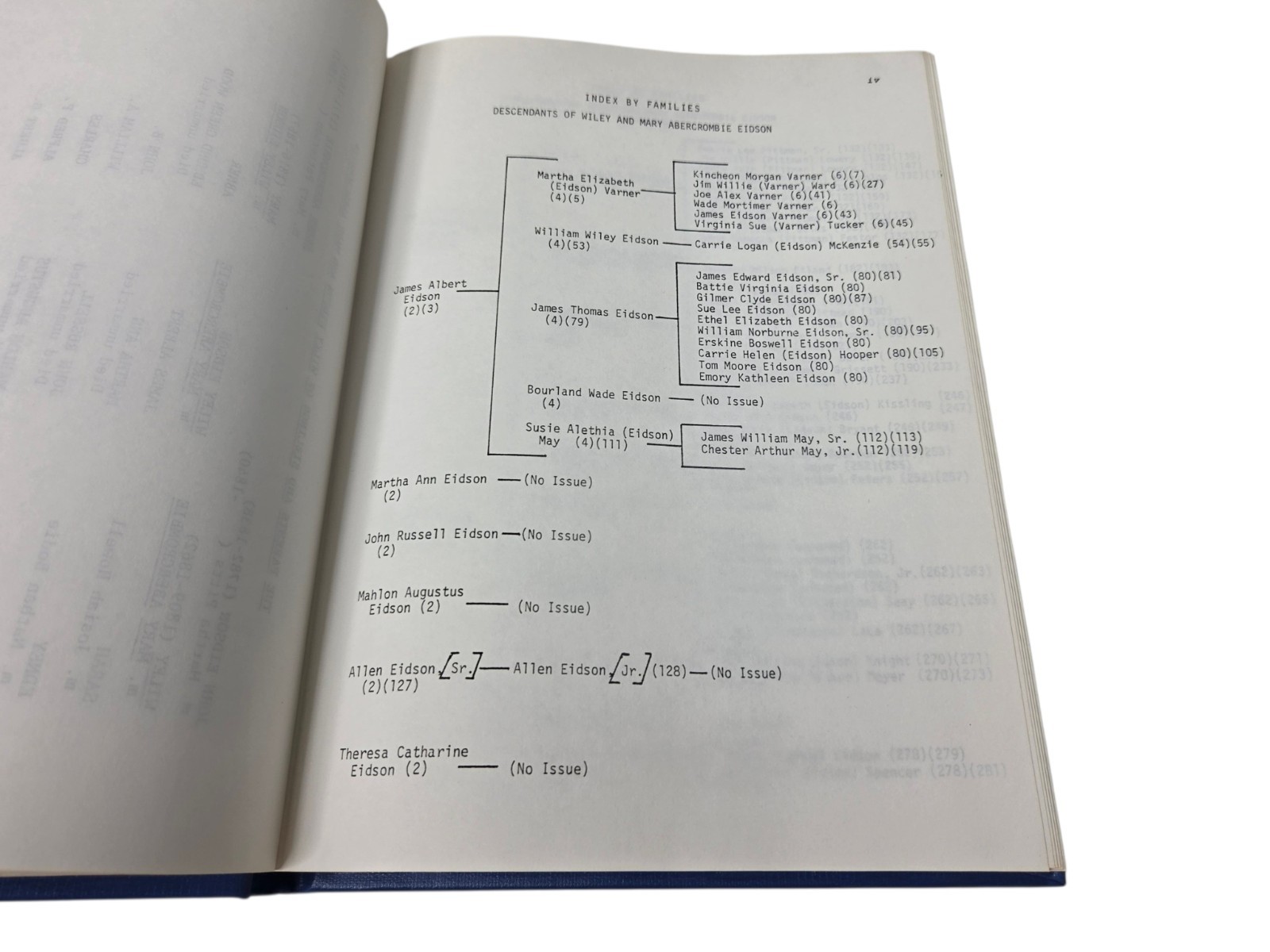 Descendants of Wiley and Mary Abercrombie Eidson 1st Ed Genealogy Family History