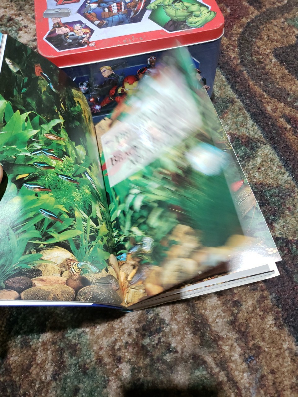 Aquarium Owner’s Manual by Gina Sanford (2003, Trade Paperback)