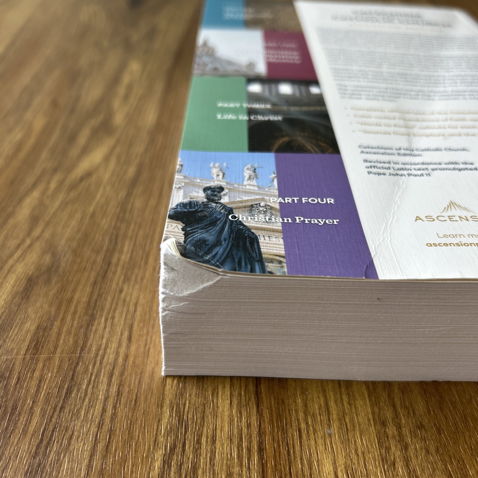 Catechism of the Catholic Church, Ascension Edition 2022 Paperback Color Coded
