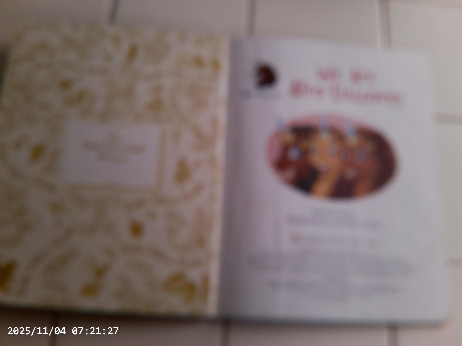 We Are Afro Unicorns, A Little Golden Book,2023(Children’s Hardcover)