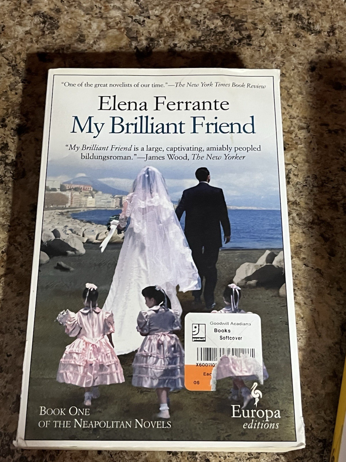 8 Book Lot Europa Editions Elena Ferrante Barbery Bronsky Perrin Paperback
