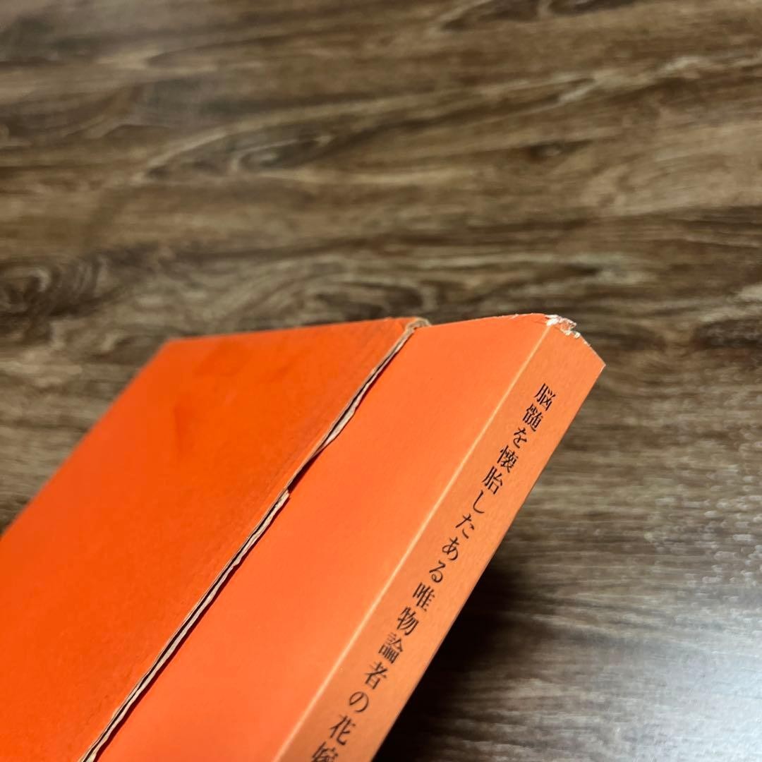 Hayashi Yoshifumi The Bride of a Materialist Who Conceived the Brain Marrow