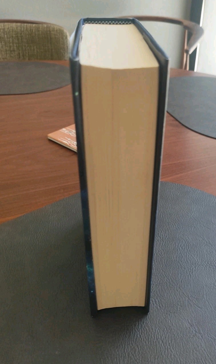 Falling in a Sea of Stars by Kristen Britain (2025, Hardcover)